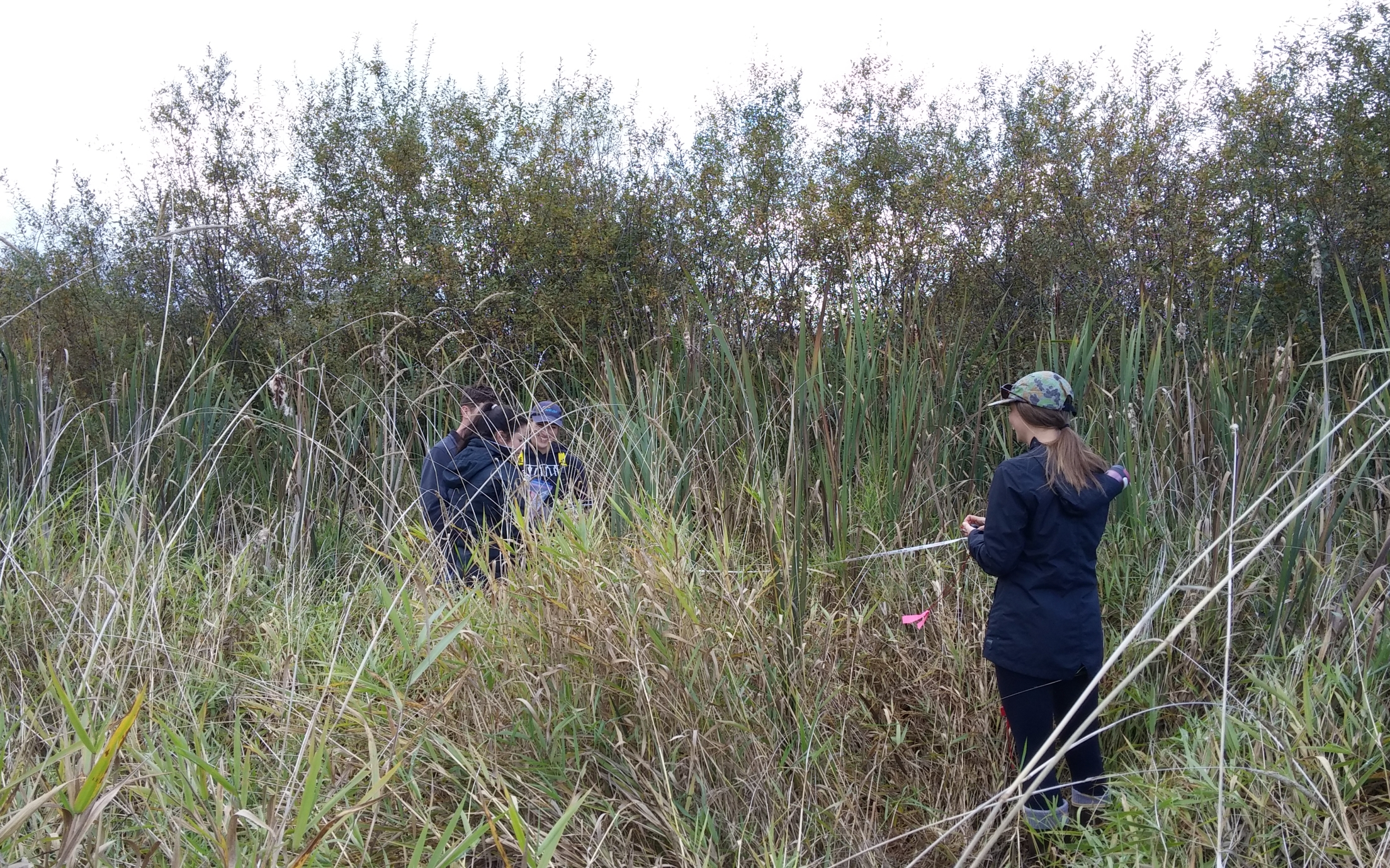 Jinglepot Marsh